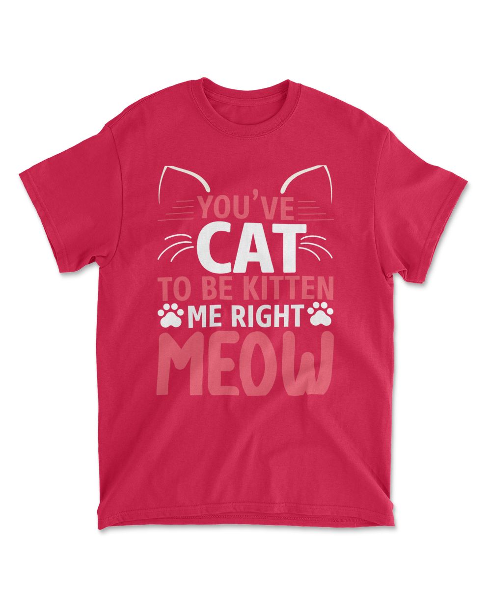 YOUVE CAT TO BE KITTEN ME RIGHT MEOW