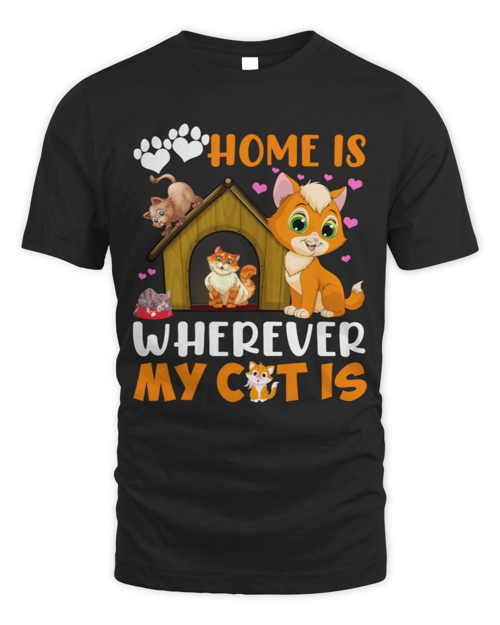 Home is wherever my cat is