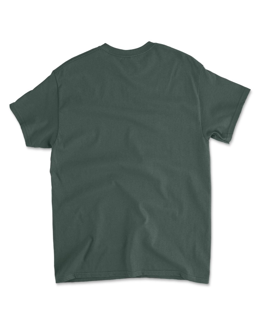 Cat Buckle Up Buttercup You Just Flipped My Witch Switch T-Shirt (4)
