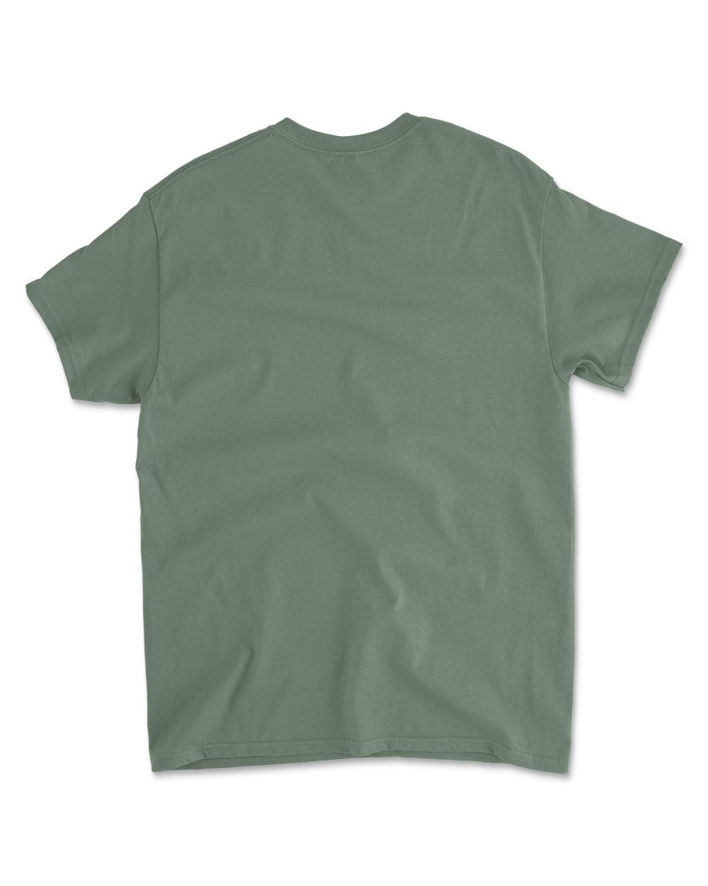 Cat Buckle Up Buttercup You Just Flipped My Witch Switch T-Shirt (5)