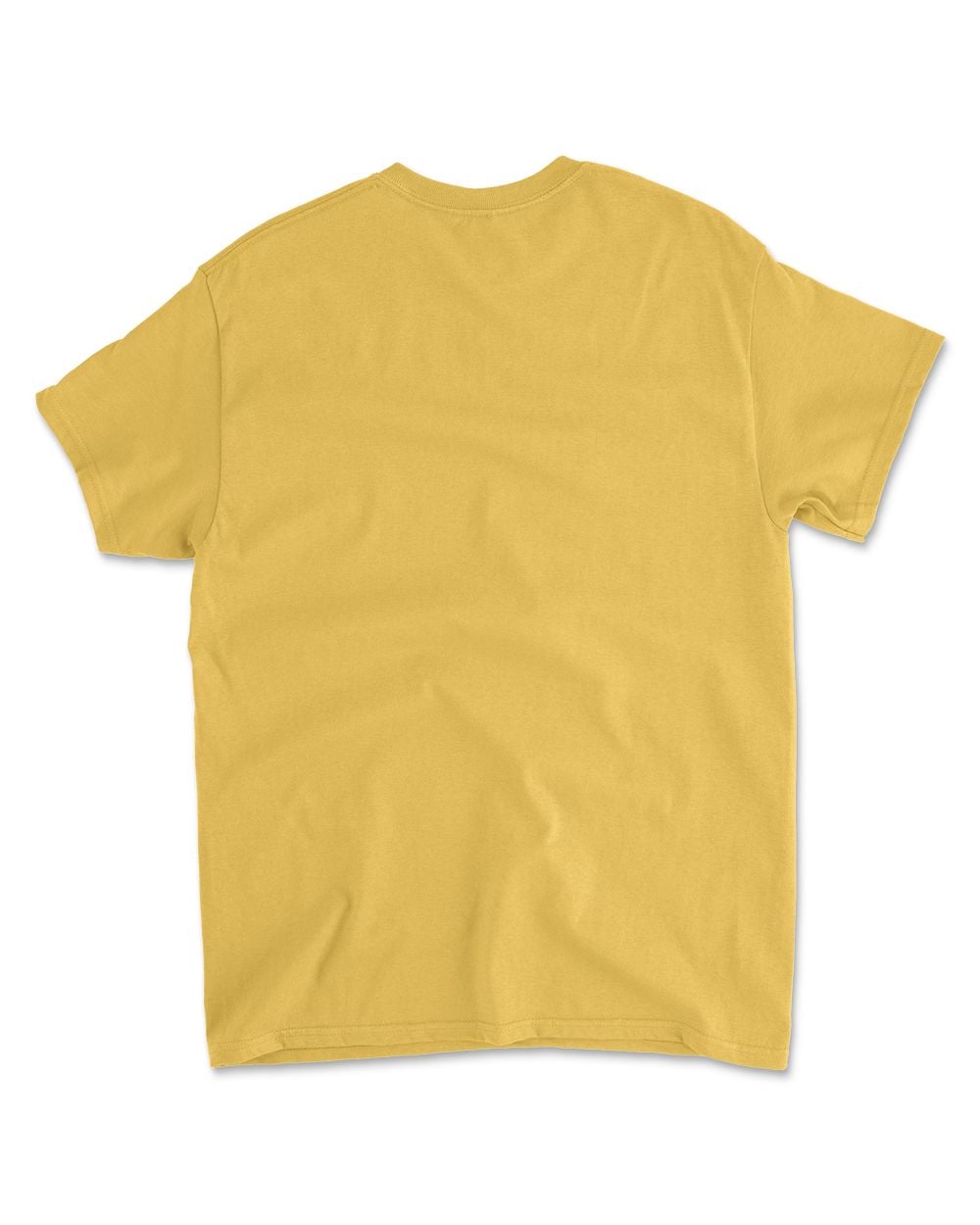 Cat Buckle Up Buttercup You Just Flipped My Witch Switch T-Shirt (13)