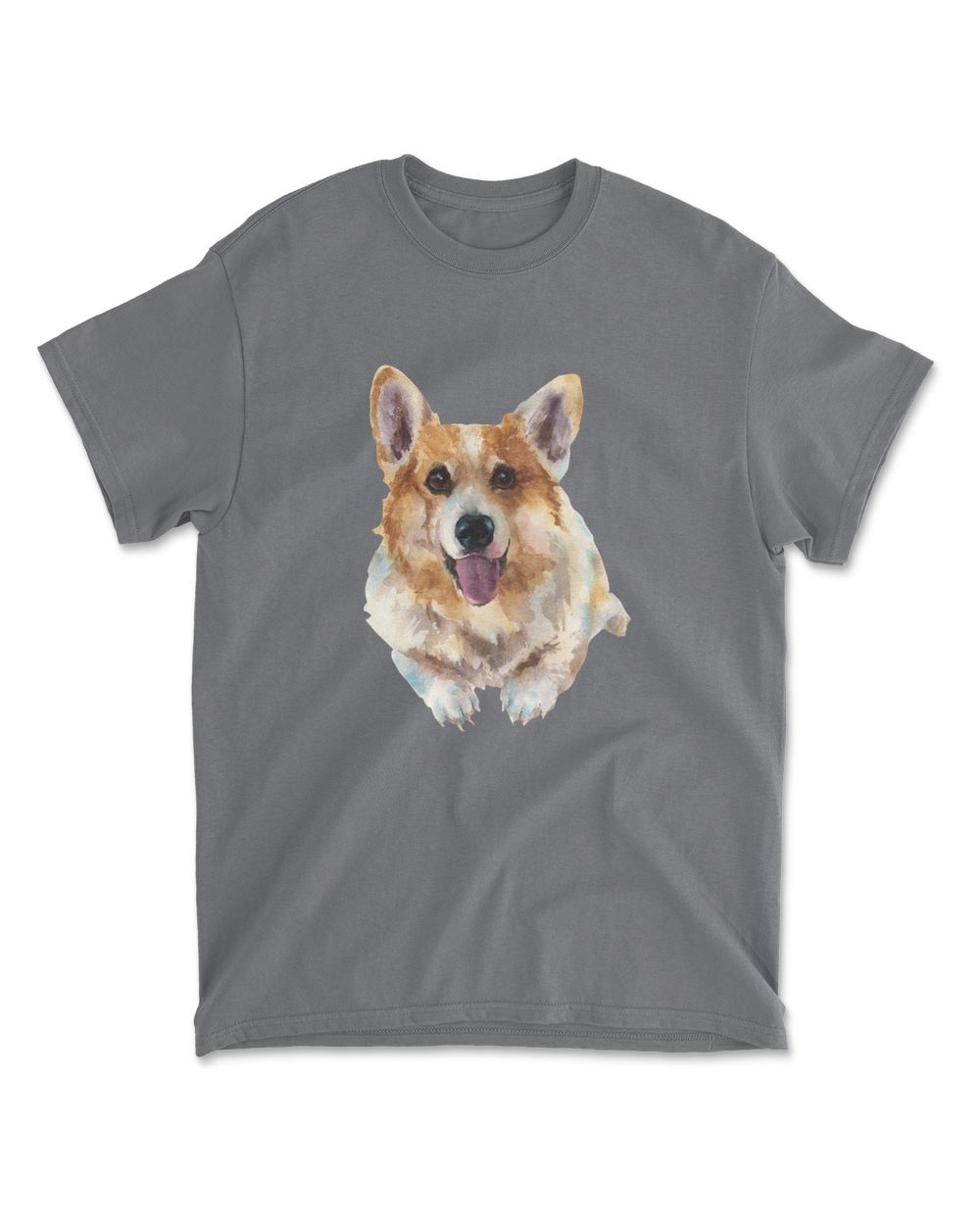 so cutes with corgi dog