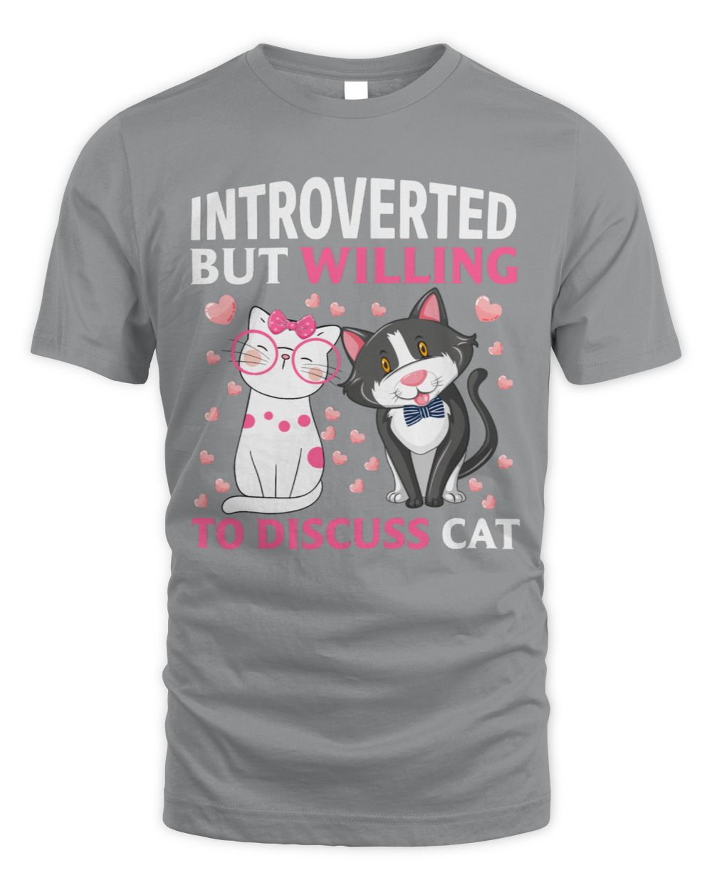 Cat lover Introverted but willing to discuss cat
